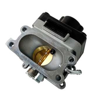 Блок управления дроссельной заслонкой H765i/170310043-0001